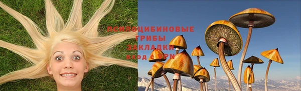 прущая мука Арсеньев